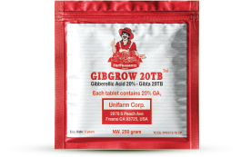GibgRow 20TB